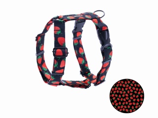 Szelki guard - Woofberry